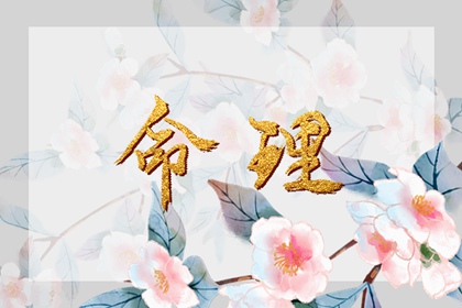 农历查询_农历黄历_农历日历2025年